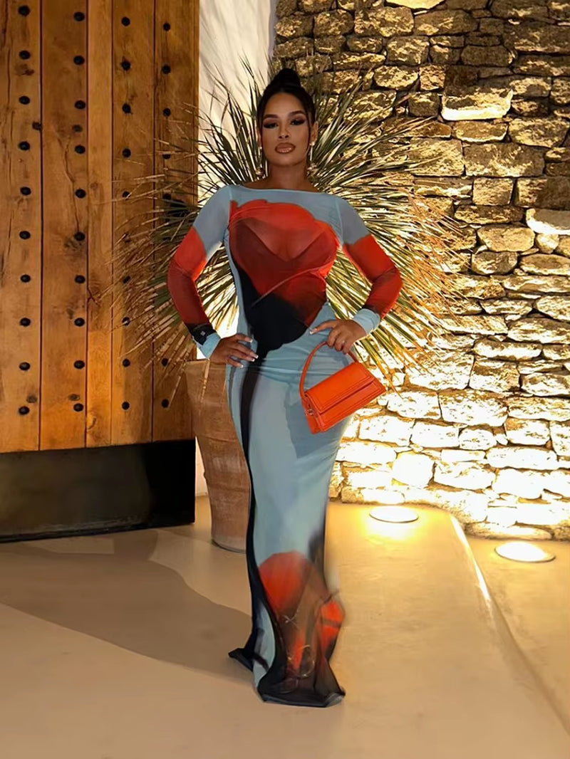 See through Dress Women Rose Print Sexy Mesh Summer Trend Skinny Elastic Long Sleeve Side Split Maxi Bodycon Vestidos